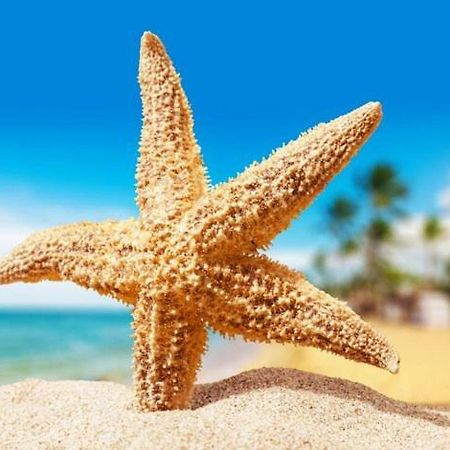 Sea Star Apartments Odessza Kültér fotó